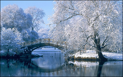 Koude kleuren - winters landschap