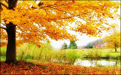 Warme kleuren - herfst landschap